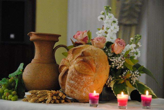 1Com - ANTHEIT 2012 - 001