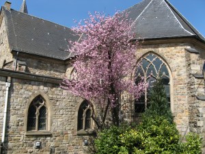 église Saint-Sernin